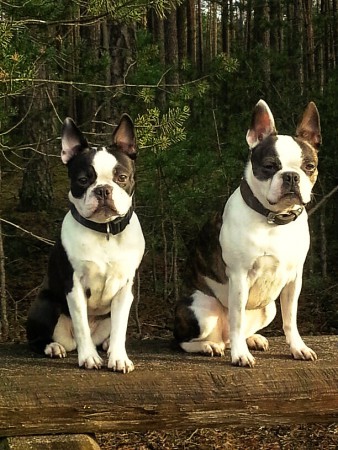 Ruby & Lotte