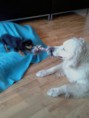 /album/meine-felle-eure-seite/img-20140924-wa0002-1-jpg/