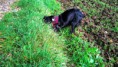 /album/meine-felle-eure-seite/img-20141018-wa0004-1-jpg/