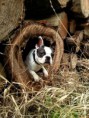 /album/meine-felle-eure-seite/img-20141023-wa0008-1-jpg/