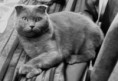 /album/meine-felle-eure-seite/img-20141018-wa0018-1-jpg/