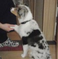 /album/meine-felle-eure-seite/p6030163-klein-jpg/