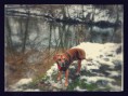 /album/fotogalerie/a20150103-134644-effects-jpg/