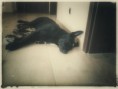 /album/barli/a20151128-105440-01-jpeg/