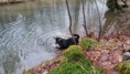 /album/barli/img-20160128-wa0001-jpg/