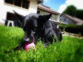 /album/barli/a20160618-130346-snapseed-jpg/