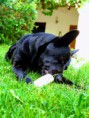 /album/barli/img-20180525-134733-effects-jpg/